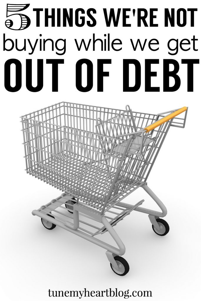 5 things we're not buying while we get out of debt - plus ideas for how to replace them. 