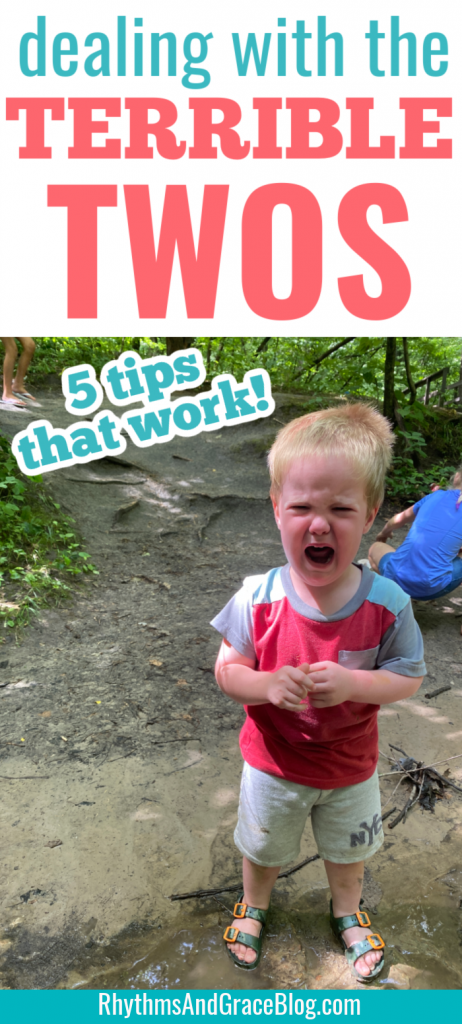 how to deal with the terrible twos pin