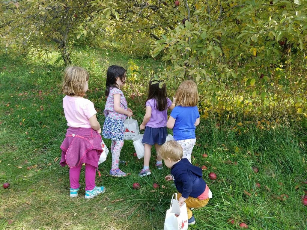 apple picking fall activities for preschoolers toddlers