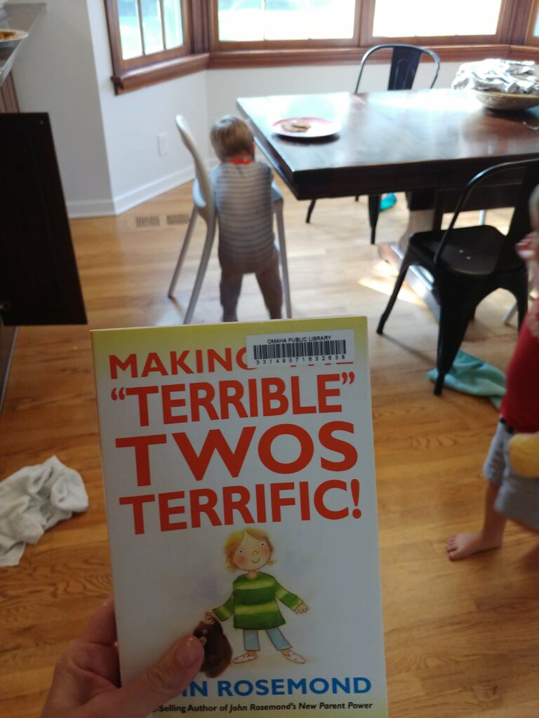 best toddler parenting book teaching no